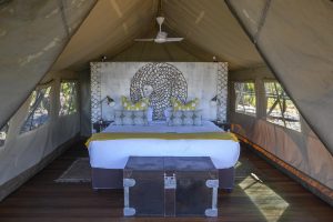 zimbabwe hwange deteema springs camp27