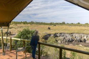 zimbabwe hwange deteema springs camp28
