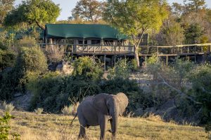 zimbabwe hwange deteema springs camp29