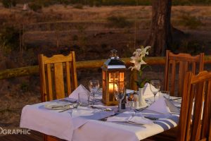 zimbabwe hwange deteema springs camp5