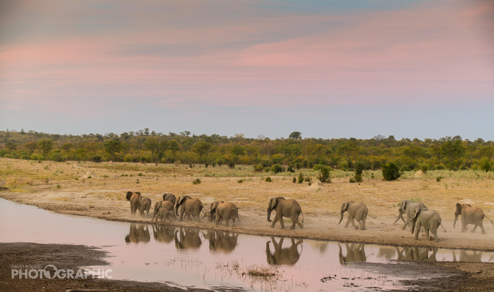zimbabwe hwange deteema springs camp9