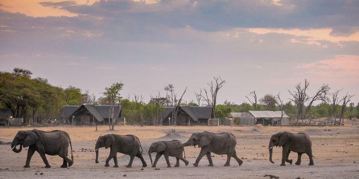 zimbabwe hwange national park the hide134