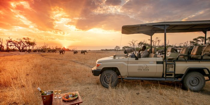 zimbabwe hwange national park the hide141