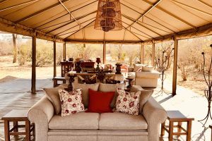 zimbabwe mana pools ingwe pan12