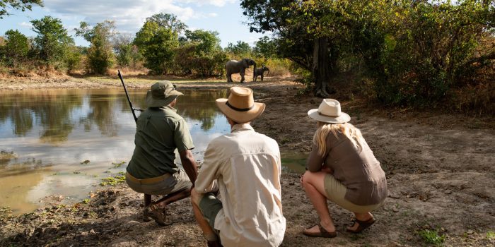 zimbabwe mana pools mana river camp34