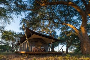 zimbabwe mana pools ruckomechi camp17