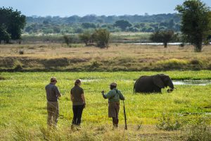 zimbabwe mana pools ruckomechi camp29