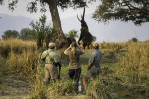zimbabwe mana pools ruckomechi camp36