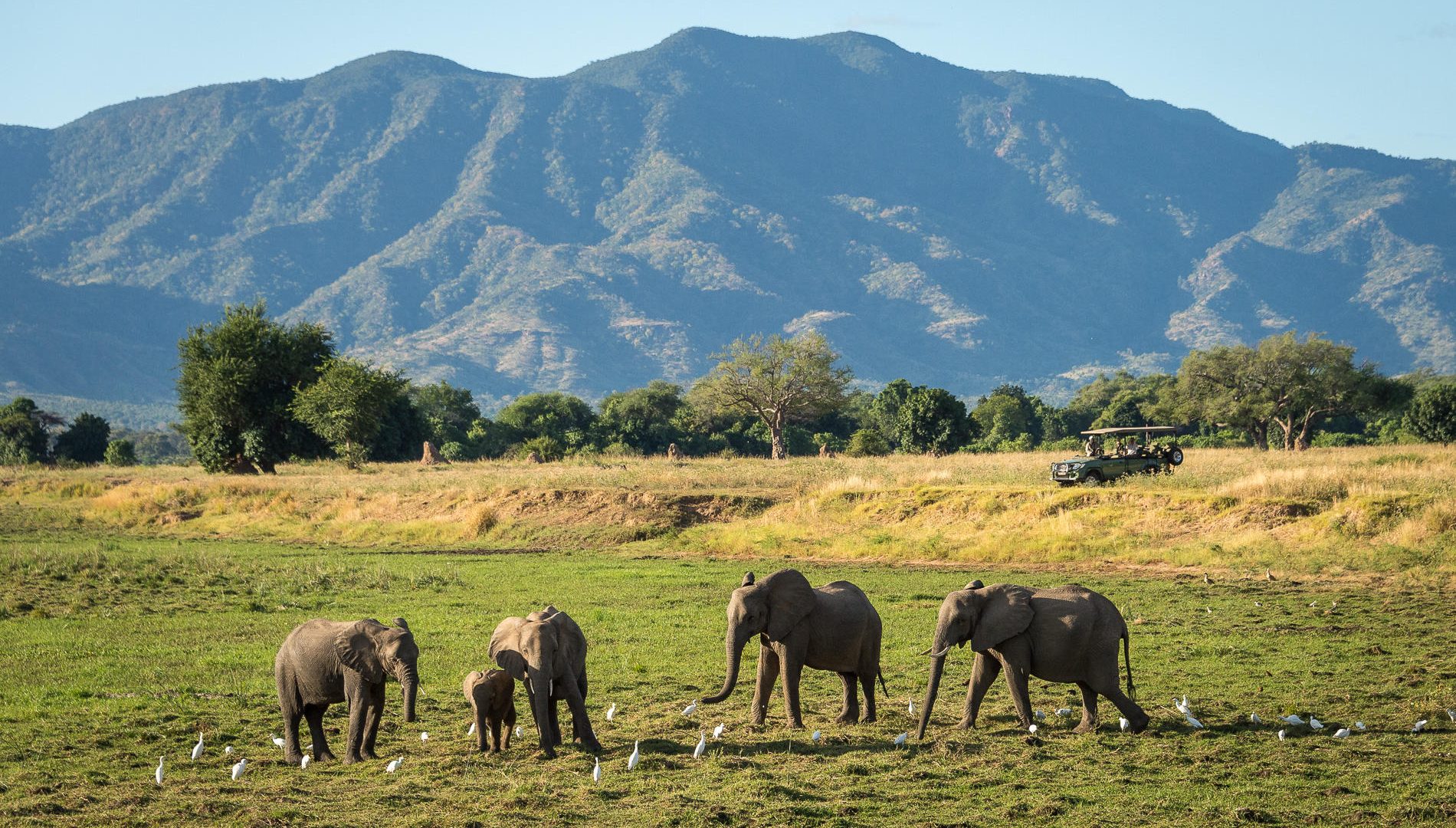 zimbabwe mana pools ruckomechi camp40
