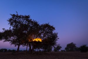 zimbabwe mana pools ruckomechi camp52