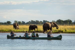 zimbabwe mana pools ruckomechi camp6