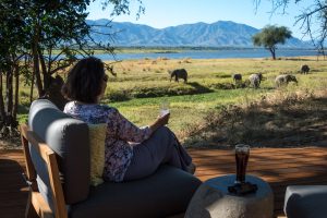zimbabwe mana pools ruckomechi camp9