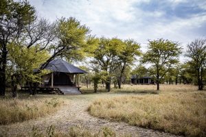 Serian Lamai Tanzania=Great Migration43