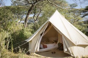 Serian Lamai Tanzania=Great Migration9