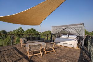 Chikunto Safari Lodge Zambia South Luangwa17