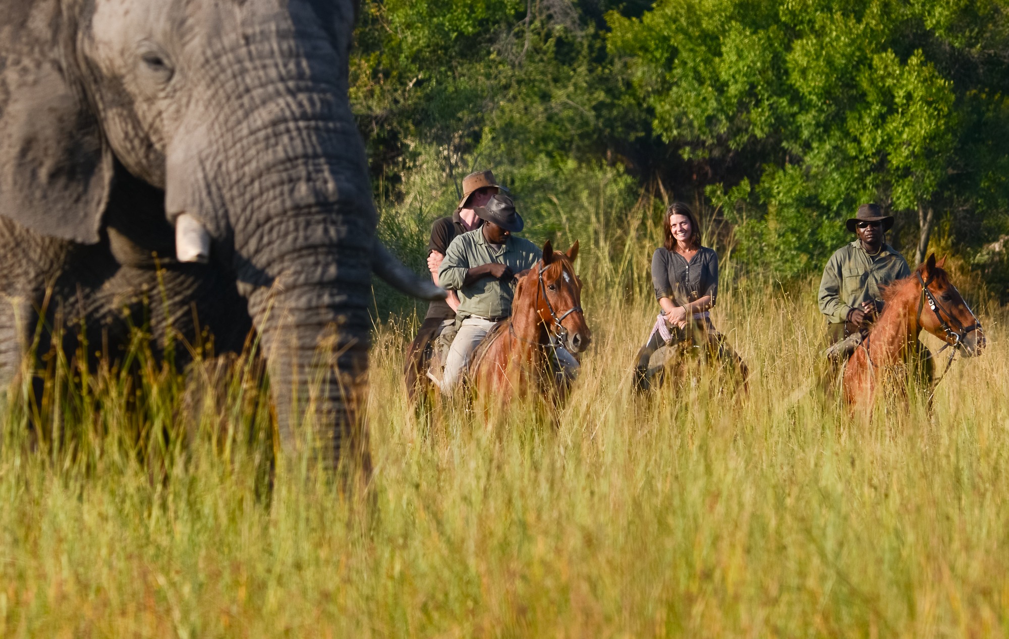Macatoo Camp Horseback Botswana2 Macatoo Camp Horseback Botswana2