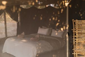 Chula Island Camp Zambia Lower Zambezi Walking Safari Tent51