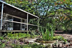 The Maun Studios Safari Botswana Maun Town Accomodation30