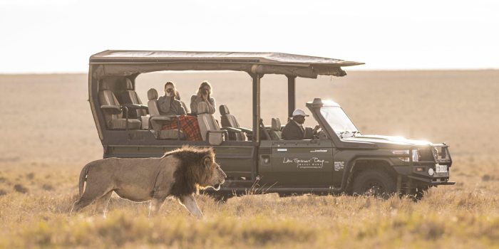 Safari Frank Little Governors Camp Kenya Masai Mara36