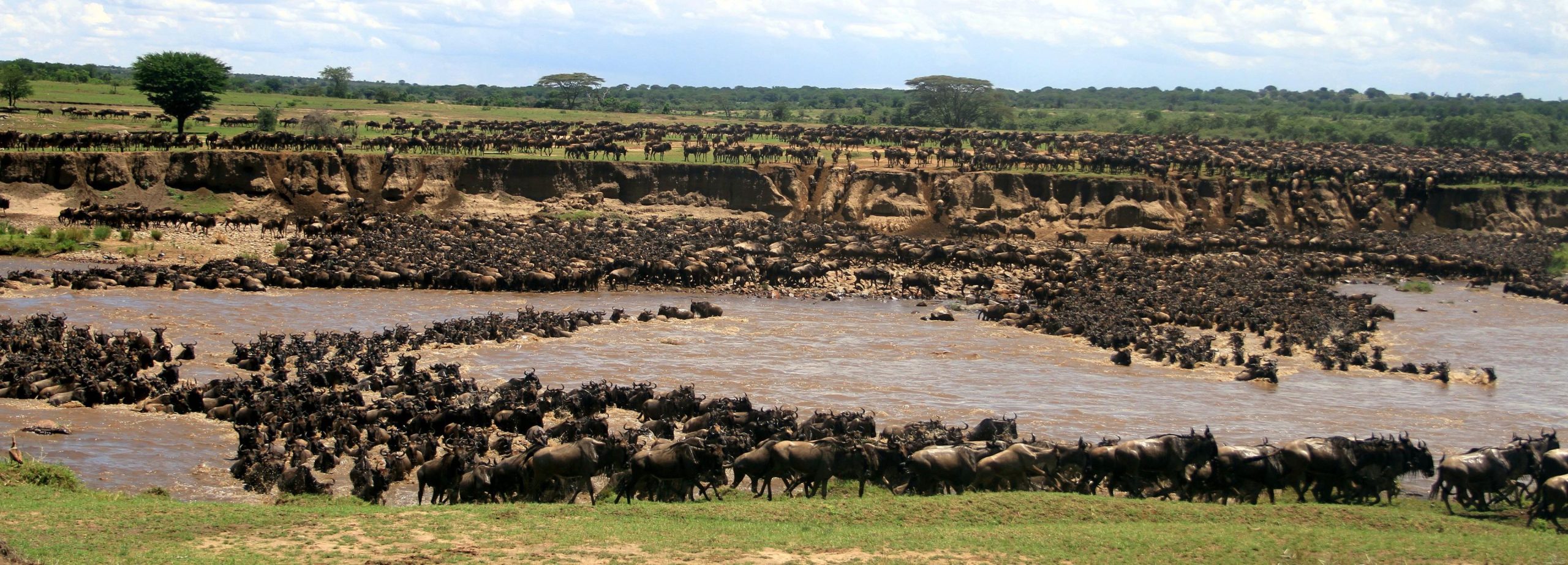 Safari Frank Nyasi Migrational Camp Tanzania30