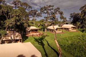 Angata Ngorongoro Camp tanzania safari frank19