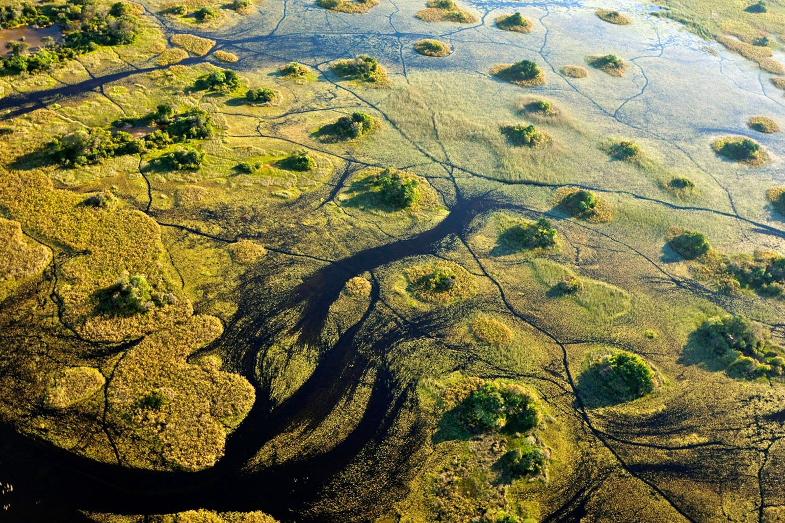 Atzaro Okavango Botswana Safarifrank Authentic Safari Holiday63