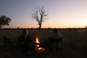 Letaka Mobile Safari Botswana Safarifrank Authentic Safari Holiday8