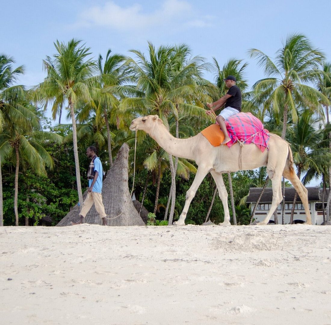 Pinewood Beach Resort Spa Diani Kenya safari frank32