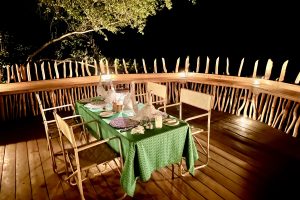 Moela Safari Lodge SafariFrank Botswana Zebra Migration14
