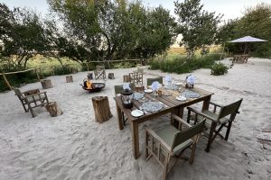 Moela Safari Lodge SafariFrank Botswana Zebra Migration15
