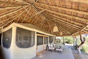 Moela Safari Lodge SafariFrank Botswana Zebra Migration17