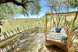 Moela Safari Lodge SafariFrank Botswana Zebra Migration18