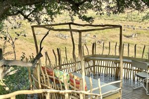Moela Safari Lodge SafariFrank Botswana Zebra Migration20