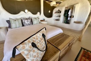 Moela Safari Lodge SafariFrank Botswana Zebra Migration22