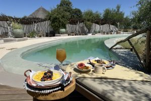 Moela Safari Lodge SafariFrank Botswana Zebra Migration34