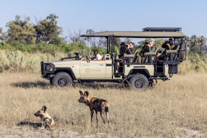 Tawana Camp Botswana safari frank8
