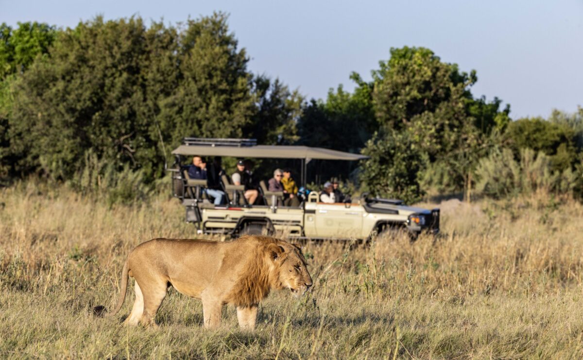 Tawana Camp Botswana safari frank9
