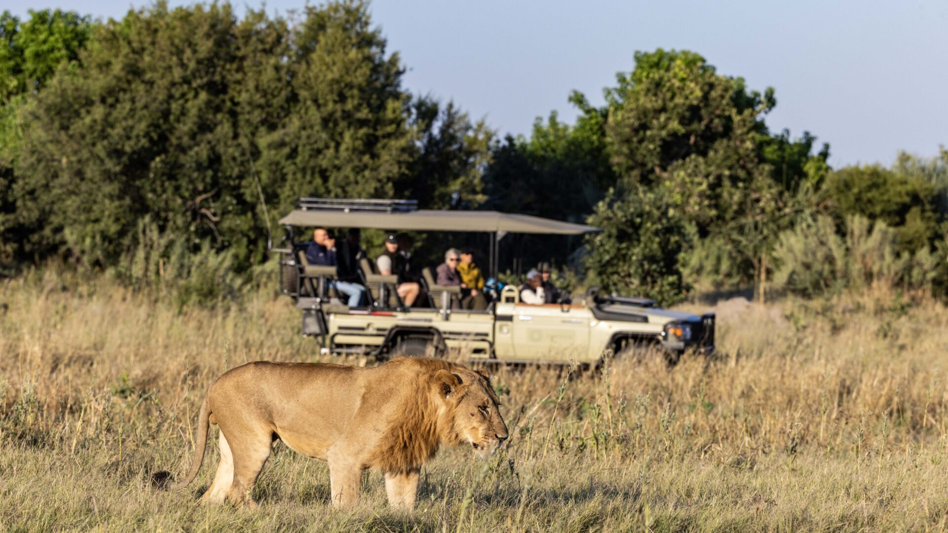 Tawana Camp Botswana safari frank9