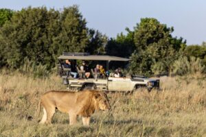Tawana Camp Botswana safari frank9