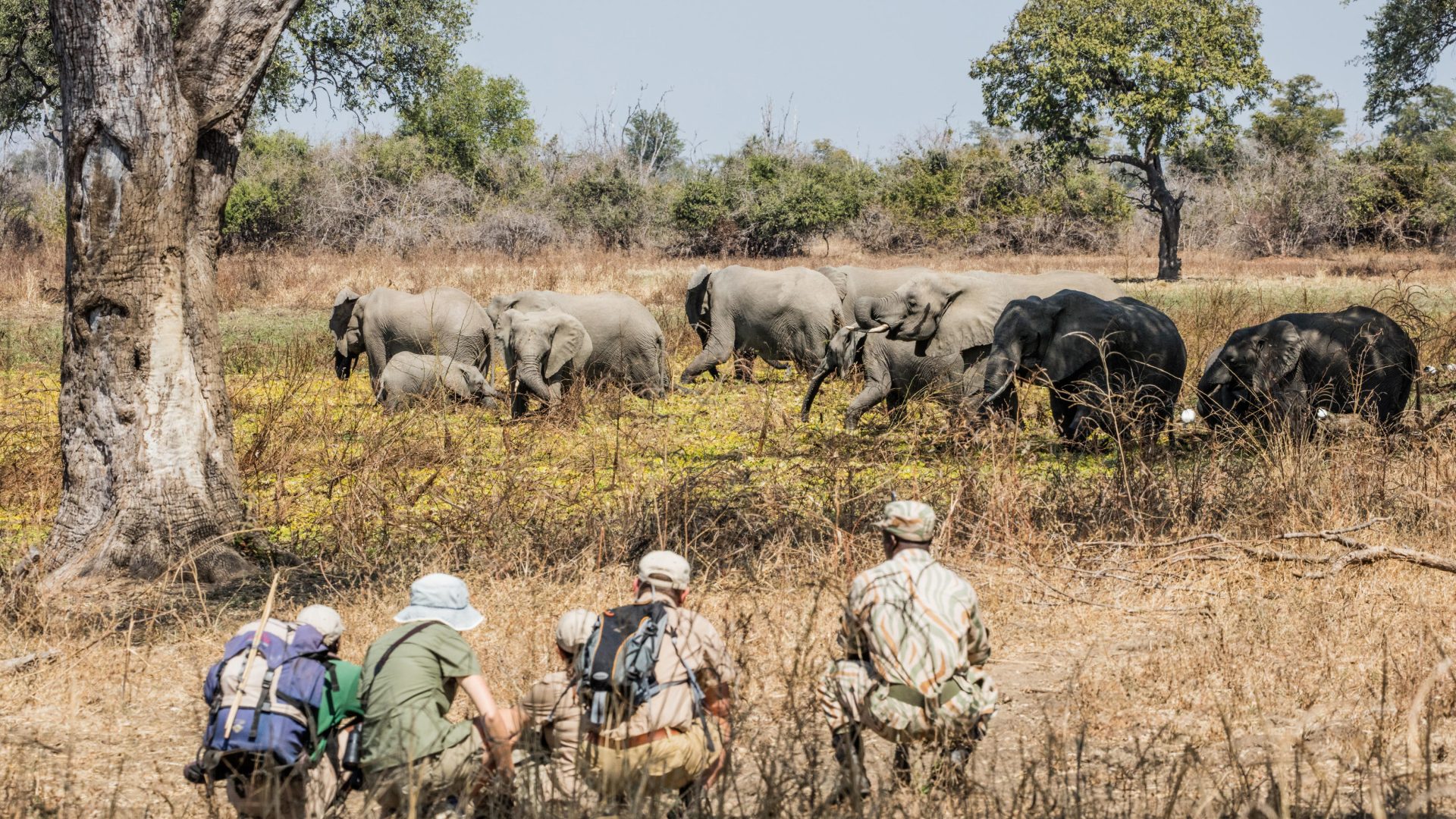 Big Lagoon Camp Zambia Luangwa Valley safarifrank50