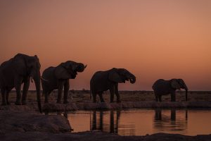 Botswana