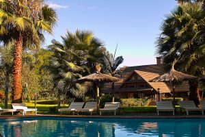 arumeru river lodge safari frank namibia1