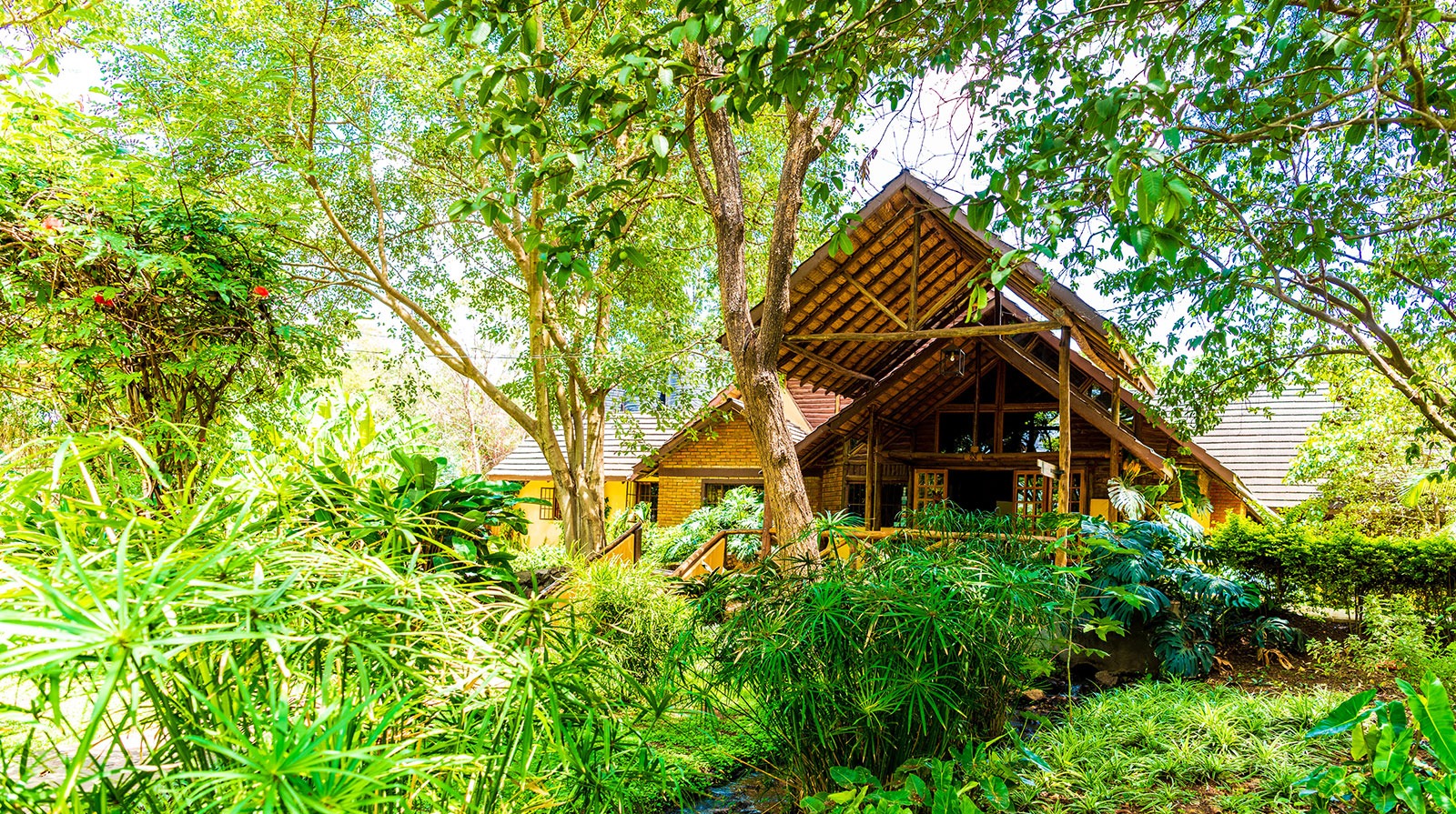 arumeru river lodge safari frank namibia8