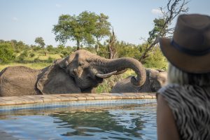 Kambaku River Sands (9)