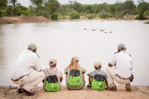 Kambaku Safari Lodge (4)