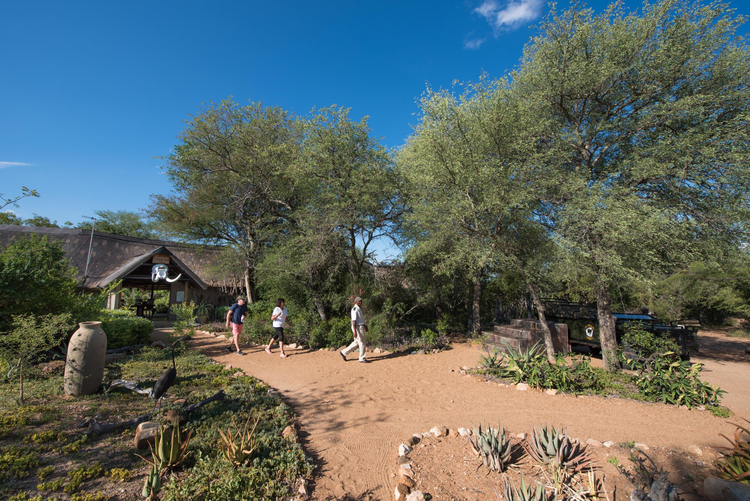 Kambaku Safari Lodge Timbavati South Africa1