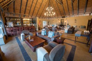 Kambaku Safari Lodge Timbavati South Africa2