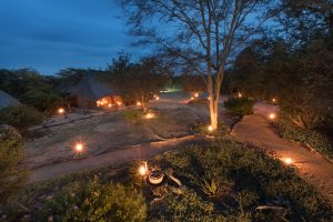 Kambaku Safari Lodge Timbavati South Africa4