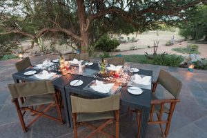 Kambaku Safari Lodge Timbavati South Africa5