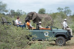 Kambaku Safari Lodge Timbavati South Africa9